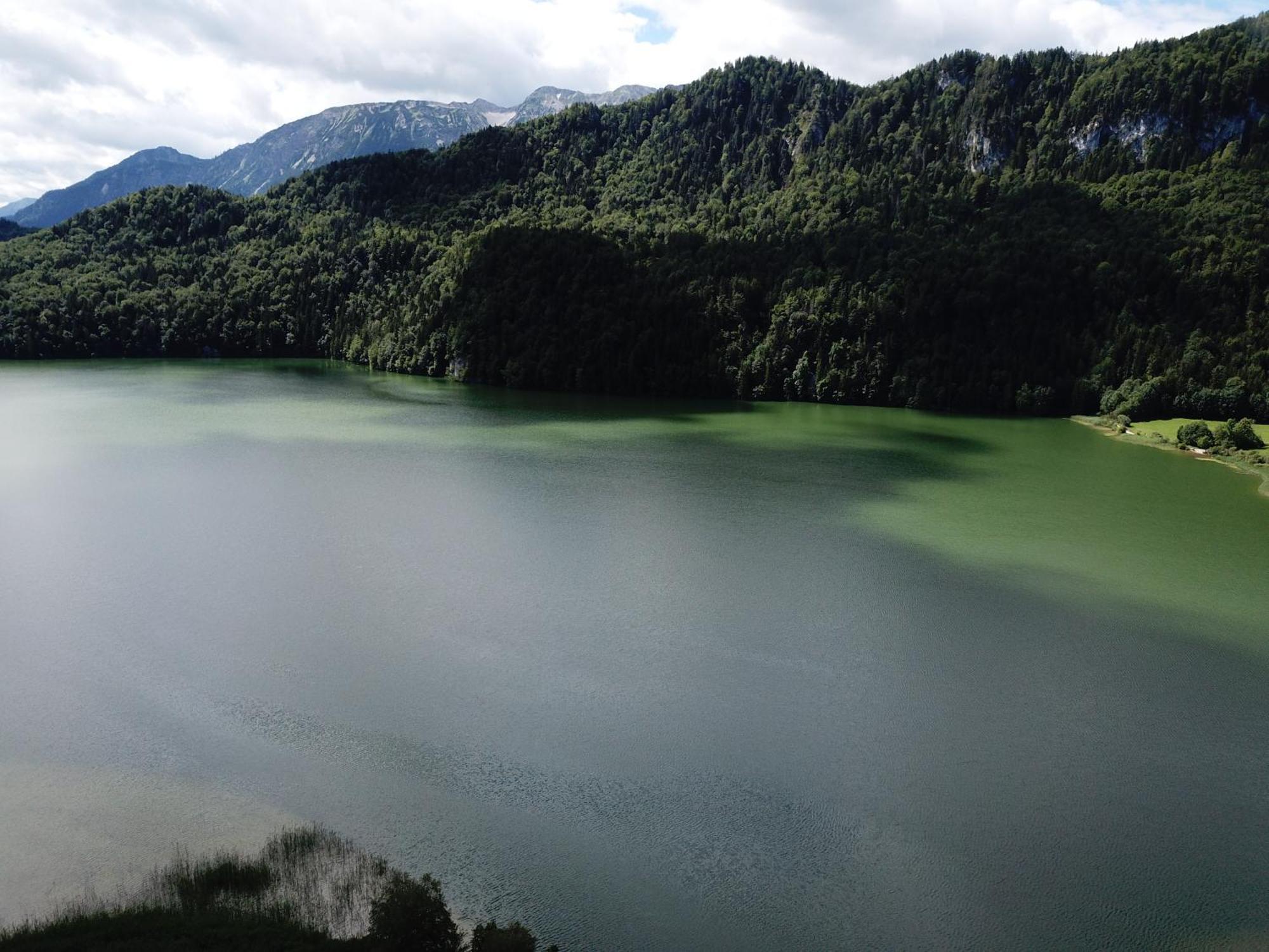 Landhaus Am Weissensee Füssen Eksteriør billede